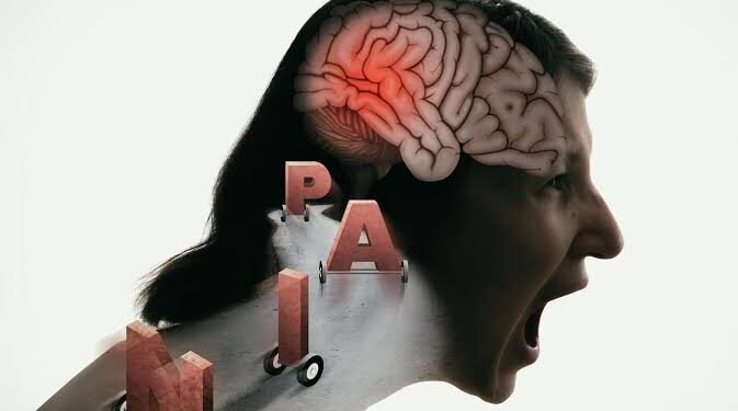 How Stress Affects Your Brain: Understanding the Impact of Chronic Stress